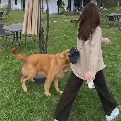 争妻起祸