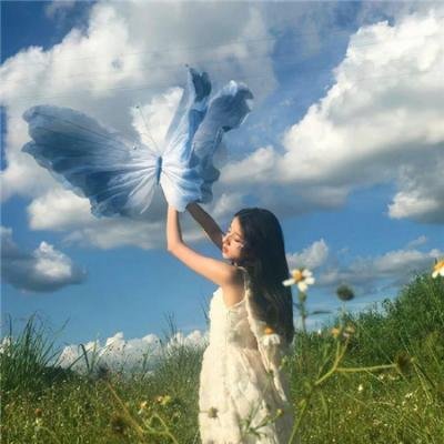 荒野谜尸